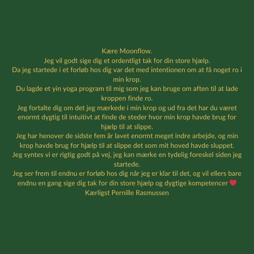 anmeldelse